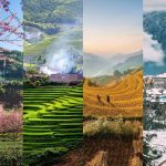 Thời điểm lý tưởng để du lịch Sapa là khi nào trong năm ?