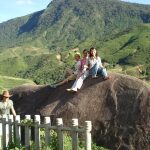 Bãi Đá Cổ Sapa – Bí ẩn ngàn năm giữa thung lũng Mường Hoa