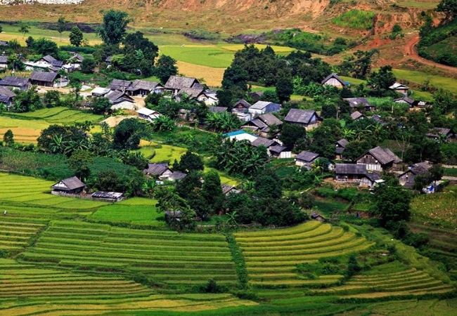 vouchersapa 2025 07 29T175259.966