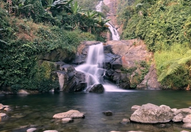 vouchersapa 2025 07 29T193454.947