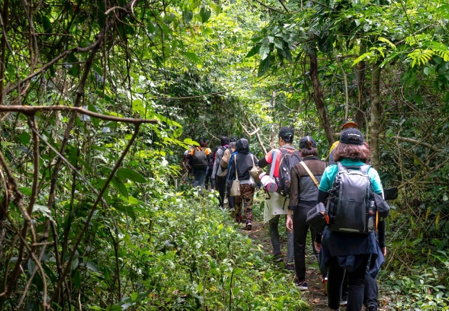 vouchersapa 2025 07 29T195747.250