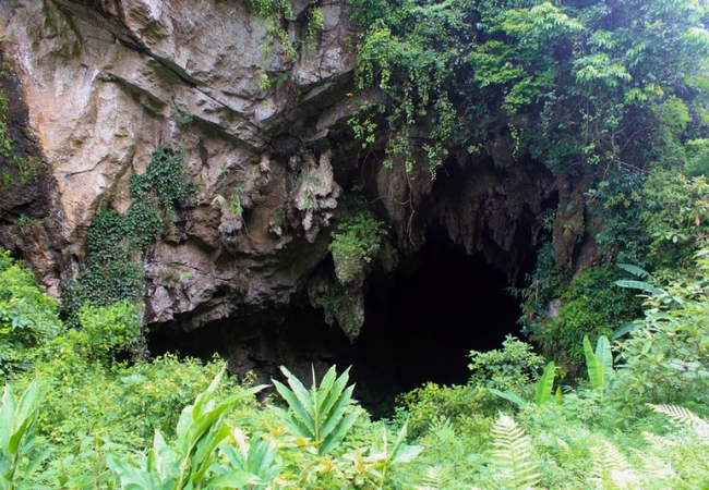 vouchersapa 2025 07 29T200432.950