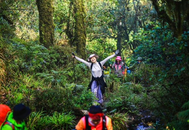 Thác Bản Vược – Dòng thác hoang sơ giữa đại ngàn Tây Bắc 3 vouchersapa 2025 07 29T202448.239