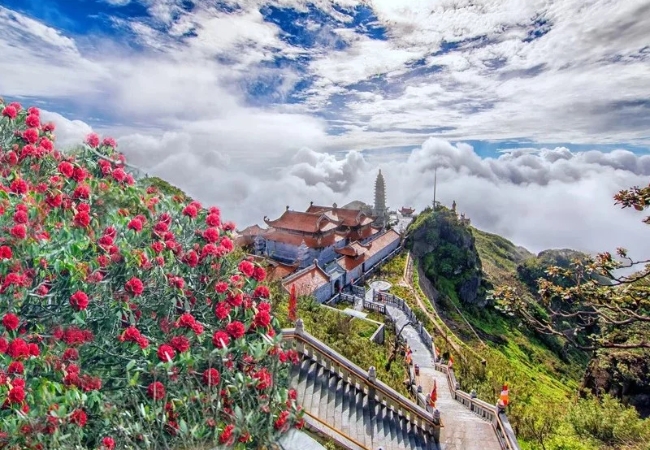 vouchersapa 2025 07 29T210712.579