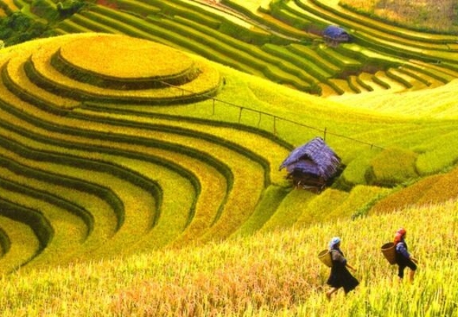 vouchersapa 1 11