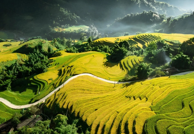 vouchersapa 1 14