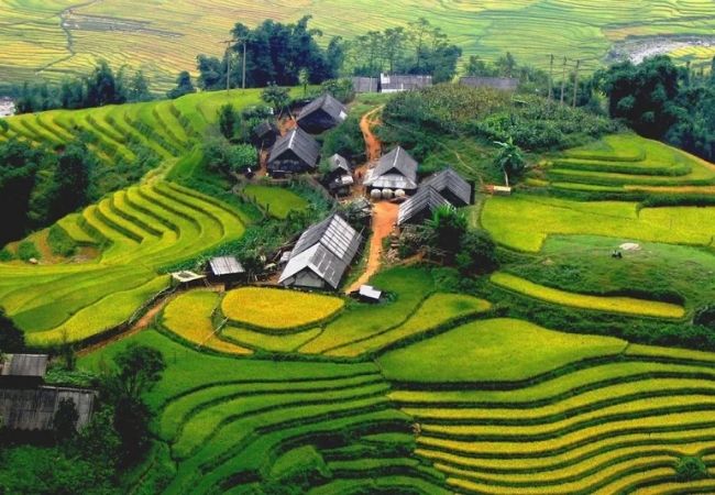 vouchersapa 16 6