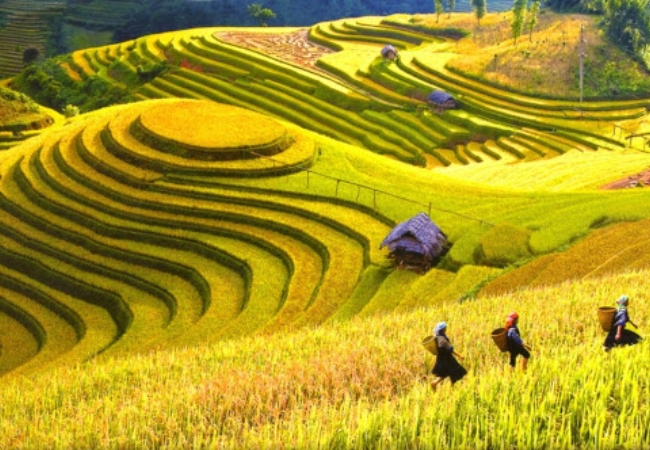 vouchersapa 2 12