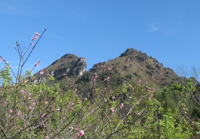 vouchersapa 2025 08 14T183901.245