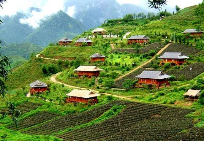 vouchersapa 2025 08 14T185413.344