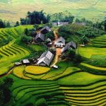 Bản Tả Phìn – Viên ngọc hoang sơ giữa núi rừng Sapa