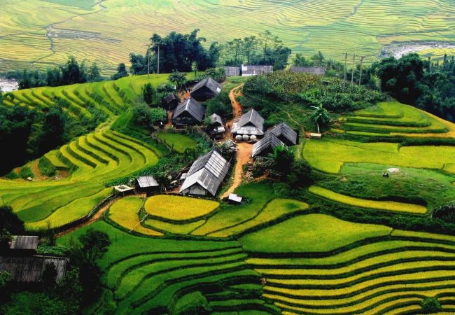 vouchersapa 2025 08 14T185418.250
