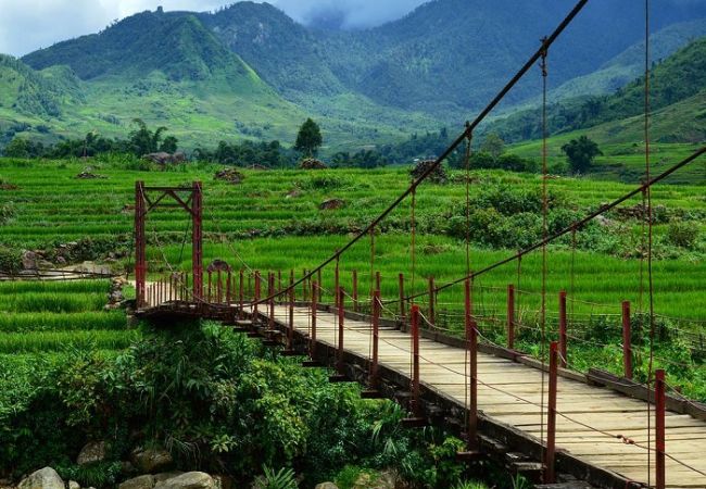 vouchersapa 2025 08 14T201755.198