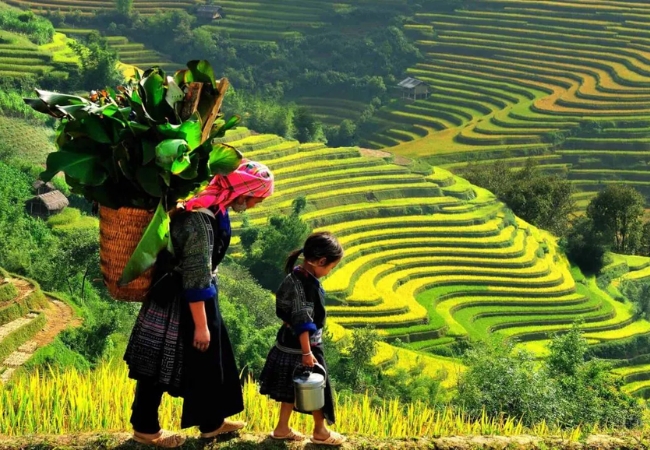Ý Linh Hồ - Vẻ đẹp hoang sơ chinh phục du khách 4 vouchersapa 2025 08 15T204351.408