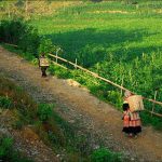 Làng Bản Phố – Vẻ đẹp văn hóa của cao nguyên trắng Bắc Hà Làng Bản Phố – Vẻ đẹp văn hóa của cao nguyên trắng Bắc Hà