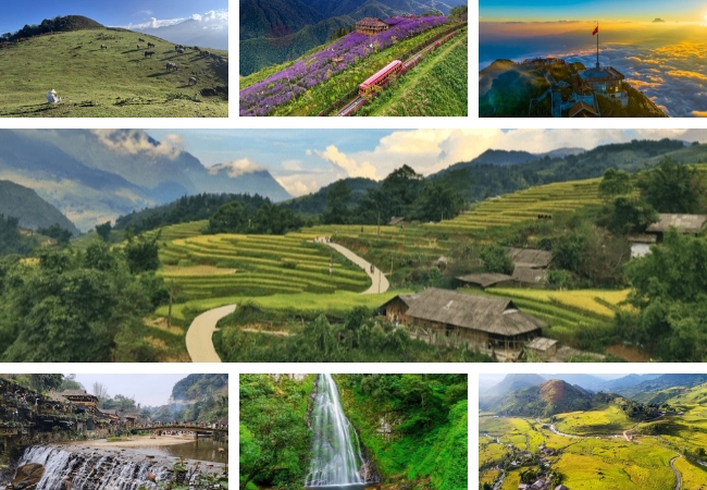 vouchersapa 2025 09 01T130156.357