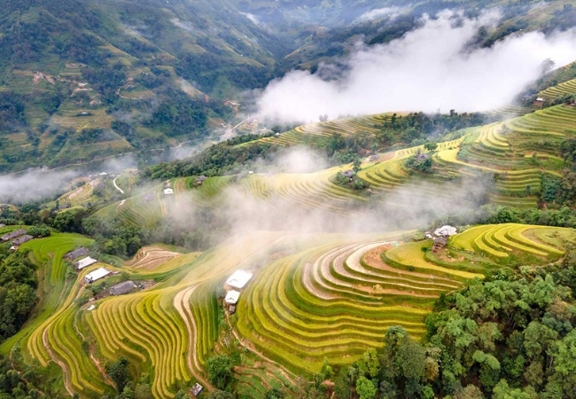 Bí quyết chọn thời điểm du lịch Sapa lý tưởng nhất trong 1 năm