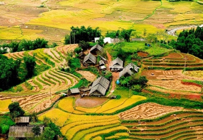 vouchersapa 2025 09 01T150411.370