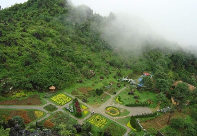 vouchersapa 6 12
