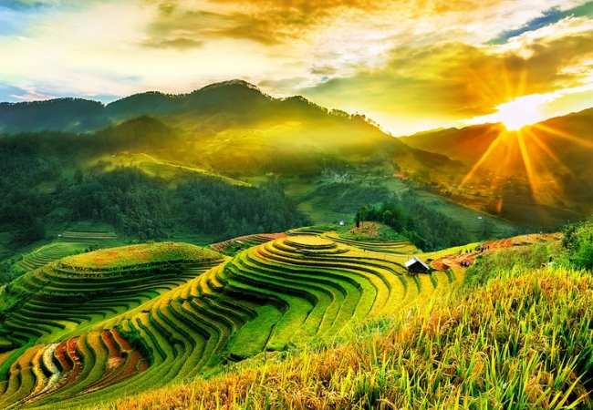 vouchersapa 7 8