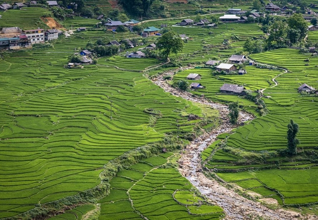 vouchersapa 8 4