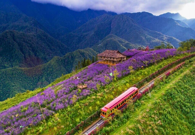 Tour 4N3Đ | Cát Cát - Chợ Sapa - Hàm Rồng - Mường Hoa - Fansipan 4 vouchersapa 2025 09 01T150357.450