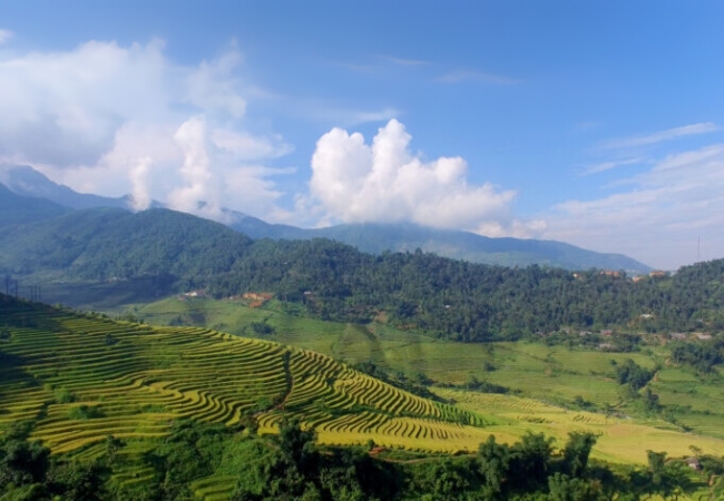 vouchersapa 2025 09 07T202850.064