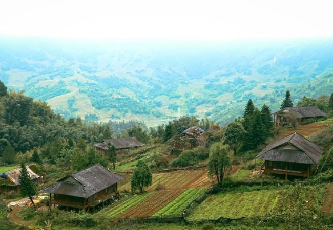 vouchersapa 2025 09 07T203458.053
