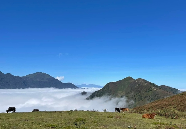 vouchersapa 2025 09 07T222248.555