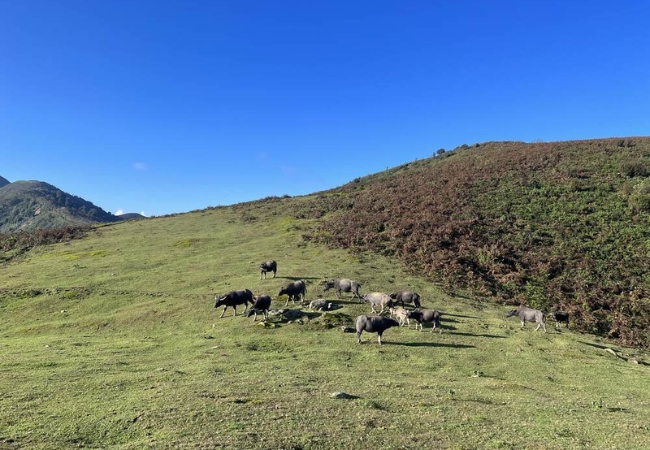 vouchersapa 2025 09 07T222359.367