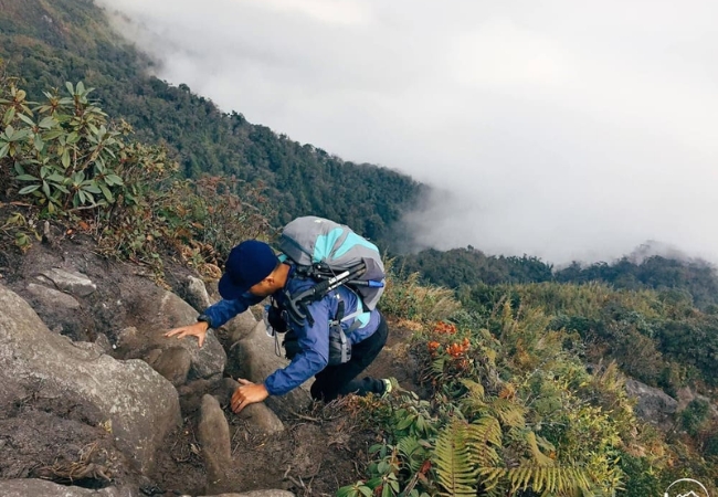 vouchersapa 2025 09 07T223923.250