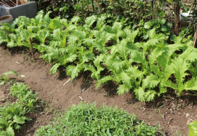 vouchersapa 2025 09 08T114626.879