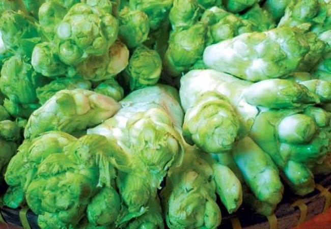 vouchersapa 2025 09 08T114759.057