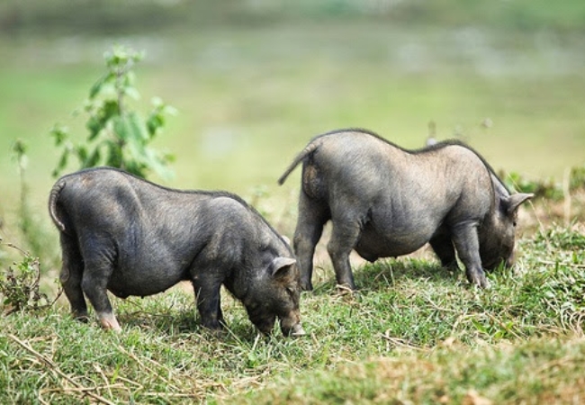 vouchersapa 2025 09 08T142516.932