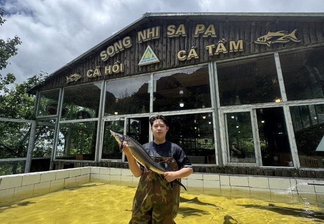 vouchersapa 2025 09 09T155326.883