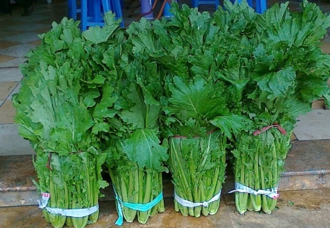 vouchersapa 2025 09 09T162027.190