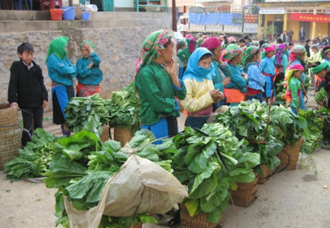 vouchersapa 2025 09 09T162126.623