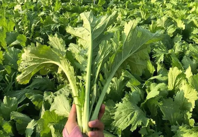 vouchersapa 2025 09 09T162148.111