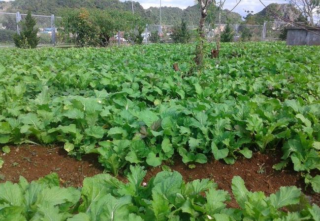 vouchersapa 2025 09 09T162541.857