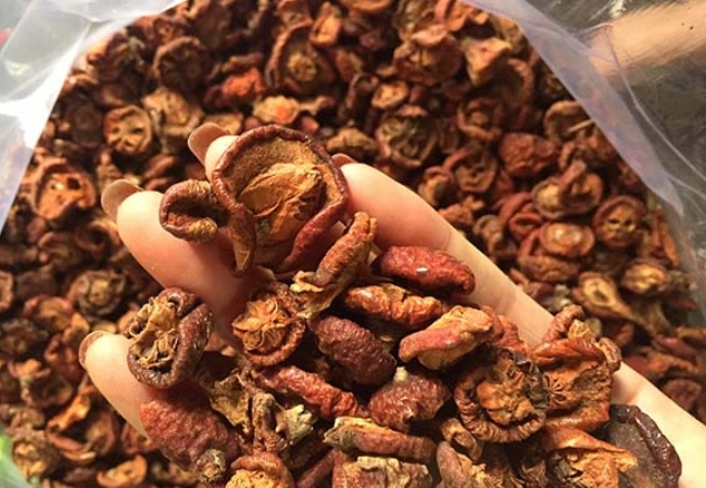 Táo mèo Sapa - tinh hoa núi rừng Tây Bắc 5 vouchersapa 2025 09 09T165941.092