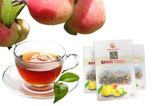 Táo mèo Sapa - tinh hoa núi rừng Tây Bắc 8 vouchersapa 2025 09 09T170151.976