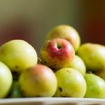 Táo mèo Sapa – tinh hoa núi rừng Tây Bắc