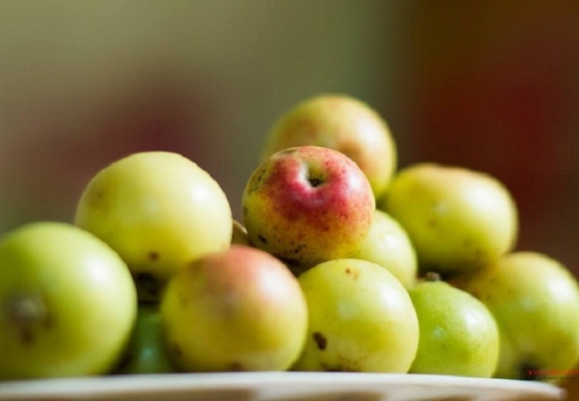 Táo mèo Sapa - tinh hoa núi rừng Tây Bắc 2 vouchersapa 2025 09 09T170329.682