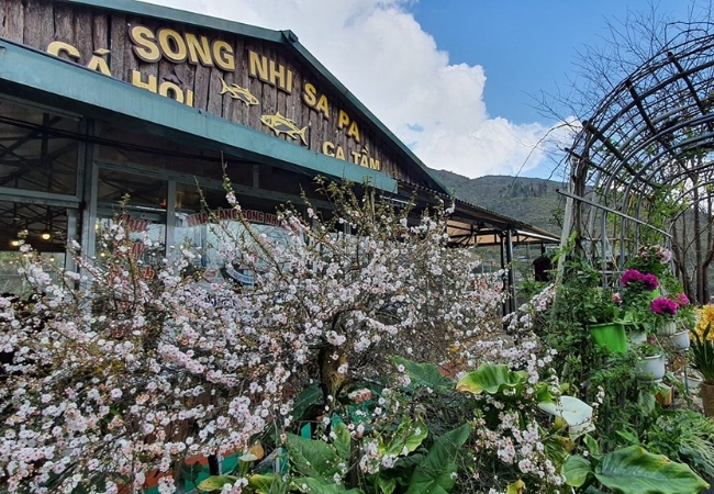 vouchersapa 2025 09 11T214422.980