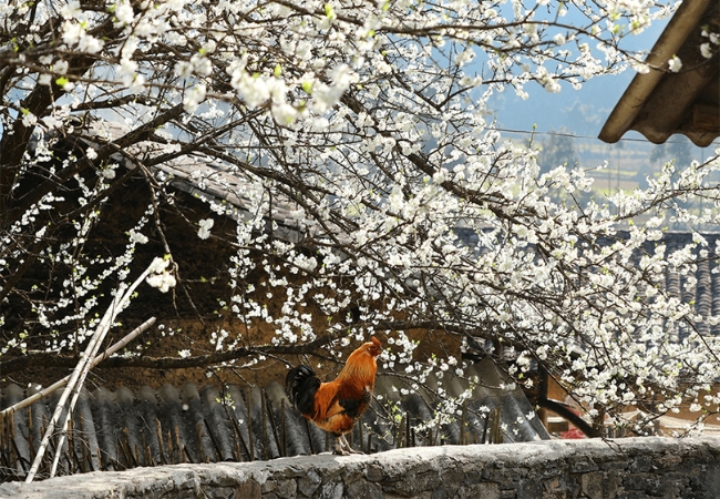 vouchersapa 2025 09 11T220019.815