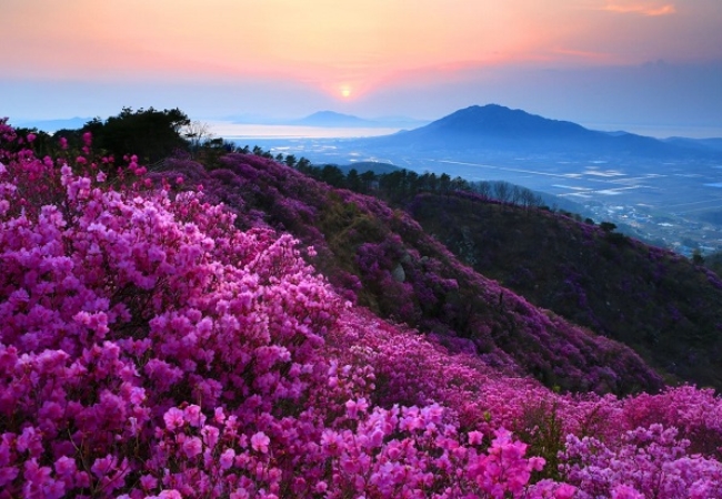 vouchersapa 2025 09 11T220127.833