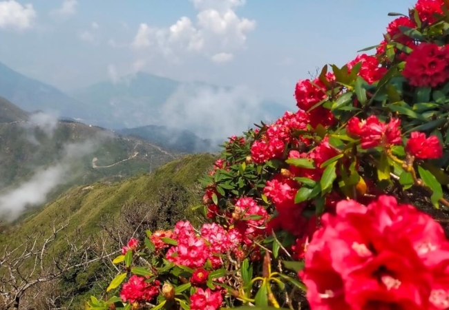 vouchersapa 2025 09 11T220142.003