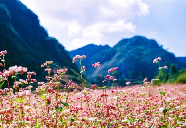 vouchersapa 2025 09 11T220308.879