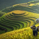 Vì sao du lịch Sapa mùa hè luôn được lựa chọn nhiều?