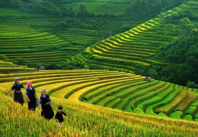 vouchersapa 2025 09 11T222534.413